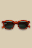 occhiale da sole mente havana di gast eyewear  acetati mazzucchelli